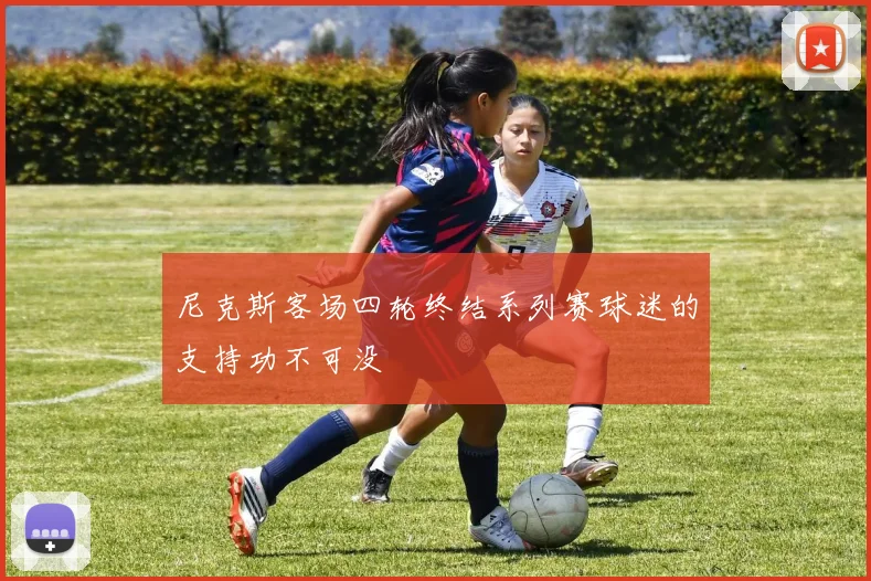 尼克斯客场四轮终结系列赛球迷的支持功不可没