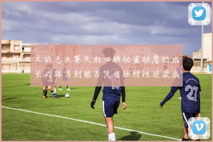 文班总决赛失利回顾幼鲨幼詹的成长之路马刺能否凭借独特性逆袭成功